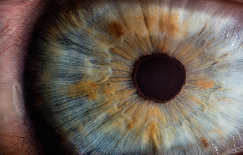 Macro retinal imaging — what researchers found inside failing eyes