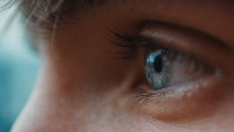 What your eyes look like when LPS damage is reversed